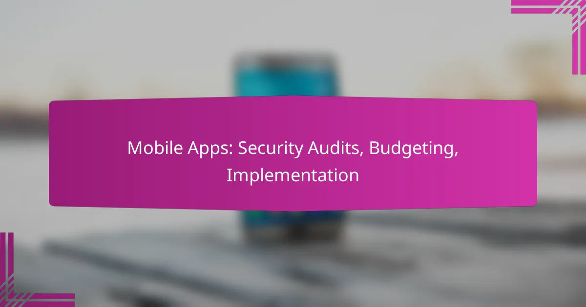Mobile Apps: Security Audits, Budgeting, Implementation
