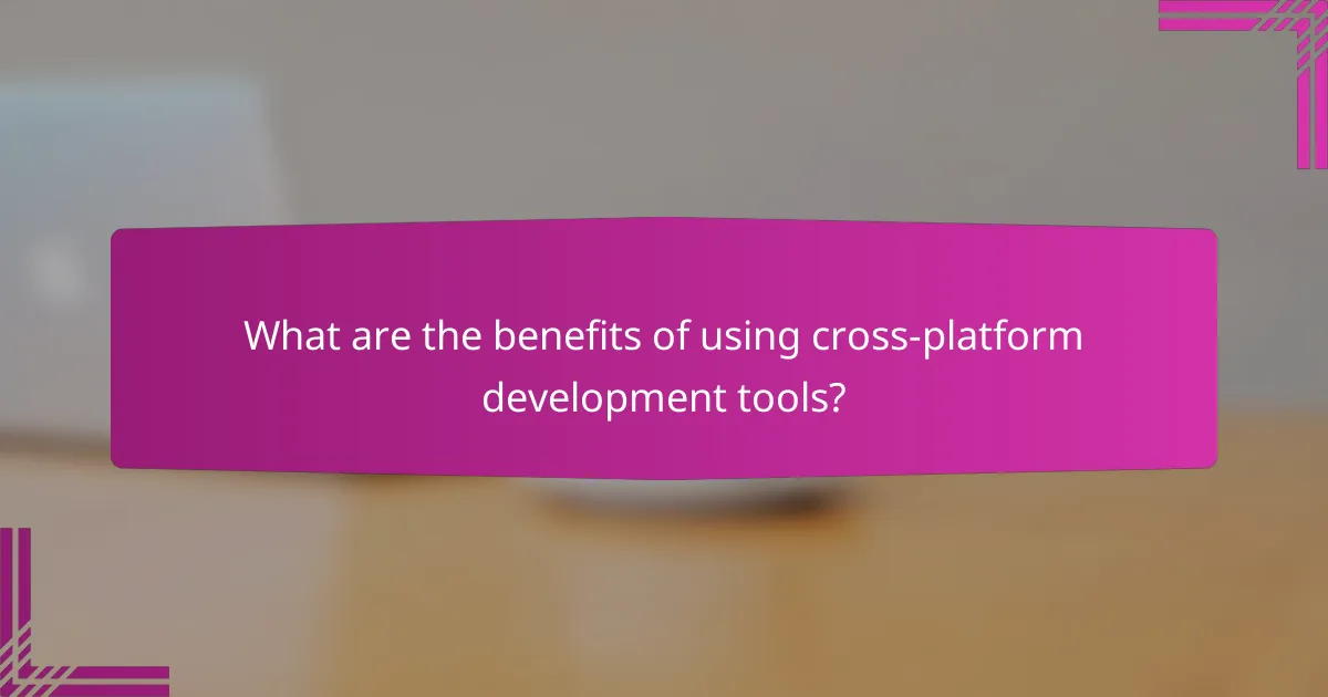 What are the benefits of using cross-platform development tools?