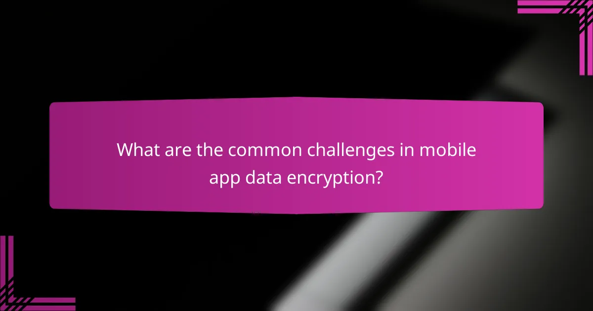What are the common challenges in mobile app data encryption?